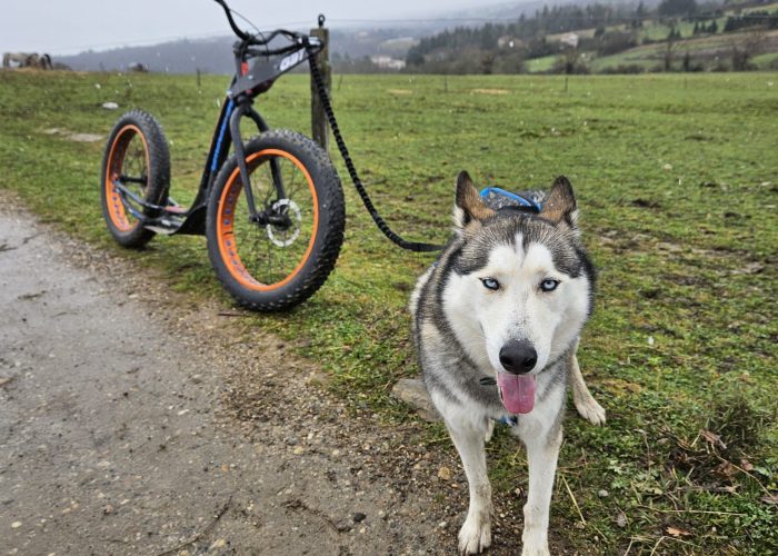 educateur canin mont du lyonnais3